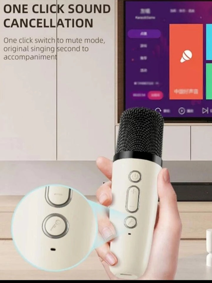 K12 Wireless Microphone and Bluetooth Speaker.