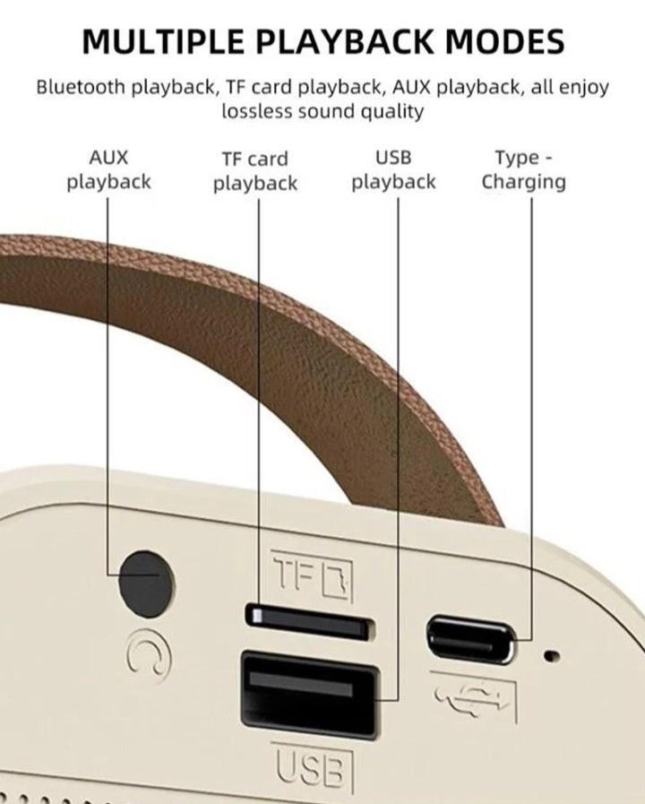 K12 Wireless Microphone and Bluetooth Speaker.